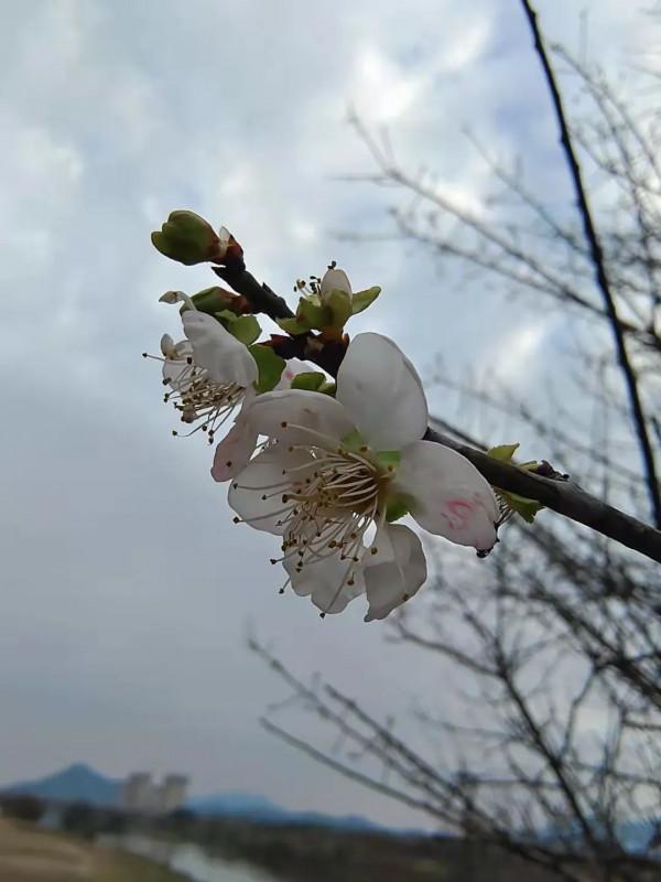 朋友圈2021年第31期