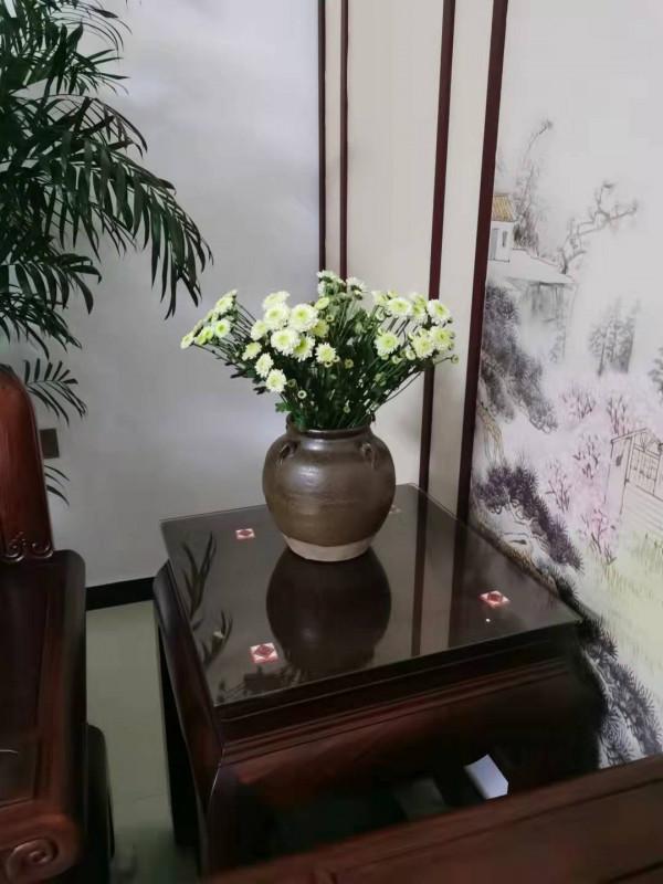 家有老婆愛養花二