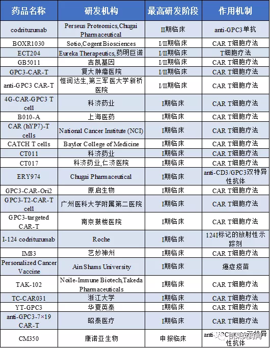 聚焦藥靶：肝細胞癌治療的新曙光，GPC3的最新研究進展