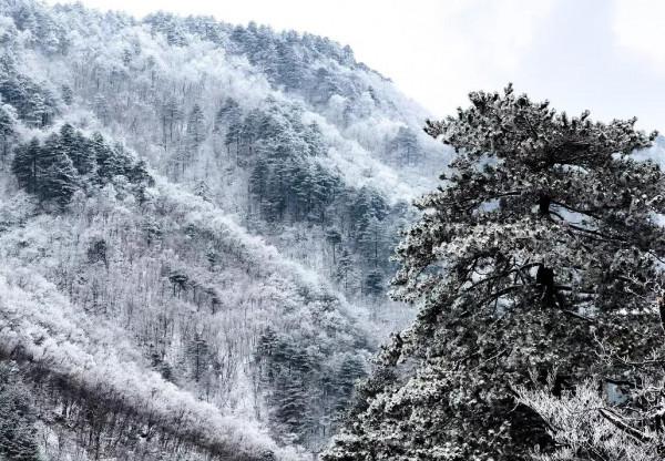 七星關&quot;一夜封神&quot;