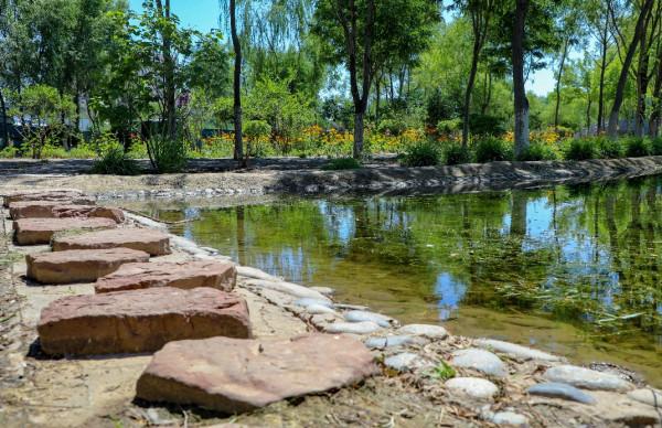 黃土高原還能長這樣？