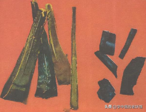 收斂止血要藥——棕櫚炭 收斂止血要藥——棕櫚炭