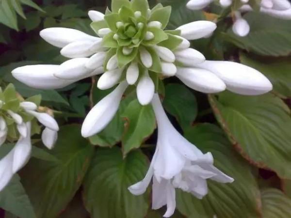 讓心靈憧憬美好，讓生活充滿陽光