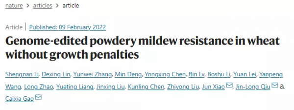 Nature評論：我國批准轉基因作物研究新規