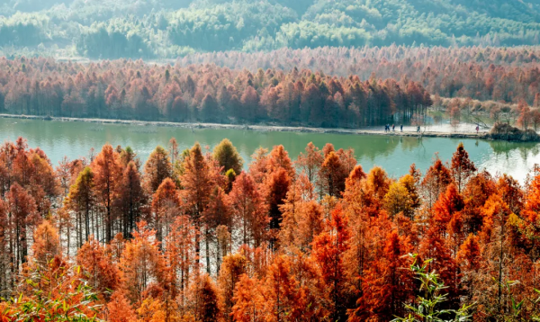 太美了!10個愈秋愈美的小眾旅行地,錯過只能再等一年 太美了!10個愈秋愈美的小眾旅行地,錯過只能再等一年