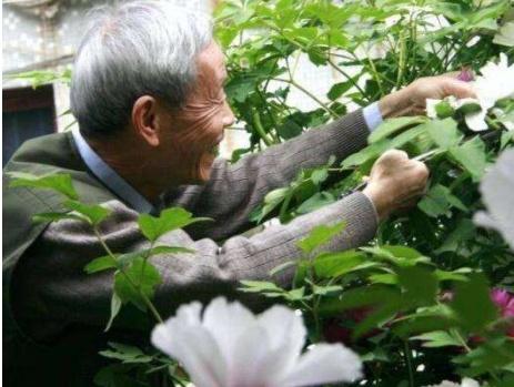 老大爺養花：這2種生活“垃圾”，效果強過花肥，養啥都爆盆