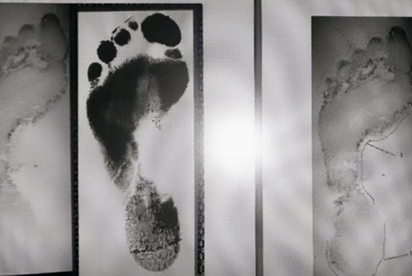 頂尖追蹤專家馬玉林:12歲放羊練“神眼”絕技,52歲看腳印破案 頂尖追蹤專家馬玉林:12歲放羊練“神眼”絕技,52歲看腳印破案