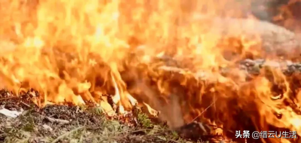 縉雲108歲老人李菊，橫跨百年的記憶