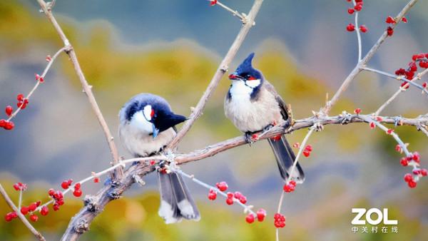 奧圖碼旗艦級家用投影評測:4K+高重新整理+智慧化 奧圖碼旗艦級家用投影評測:4K+高重新整理+智慧化