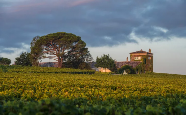 萊斯古堡:拉菲旗下蘇玳一級莊 萊斯古堡:拉菲旗下蘇玳一級莊