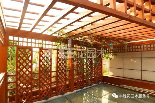 花架這樣玩，可以大有名堂