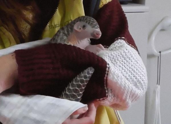 24個&OpenCurlyDoubleQuote;不為人知&rdquo;的動物事實，讓人眼界大開