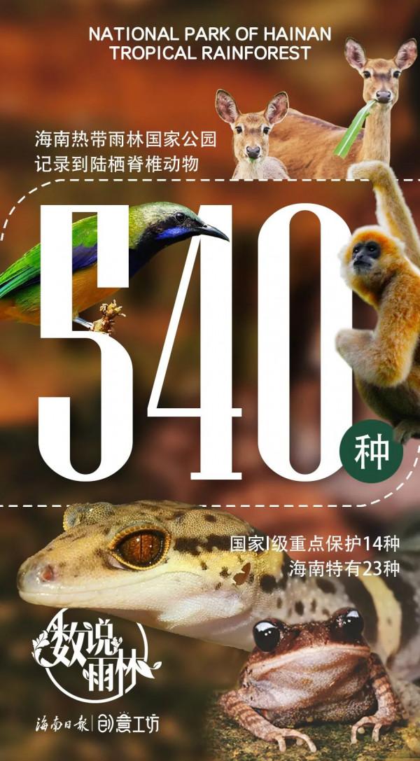 數說海南熱帶雨林國家公園