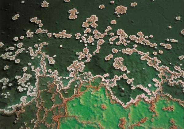 26張極致大片，尋找地球最美的角落