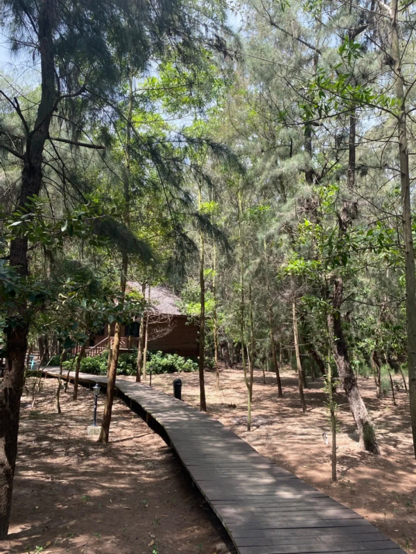 秋天的東山島,用色彩來感知 秋天的東山島,用色彩來感知