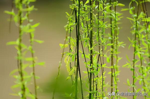 詩詞｜意境最美的十二首中國古詩詞