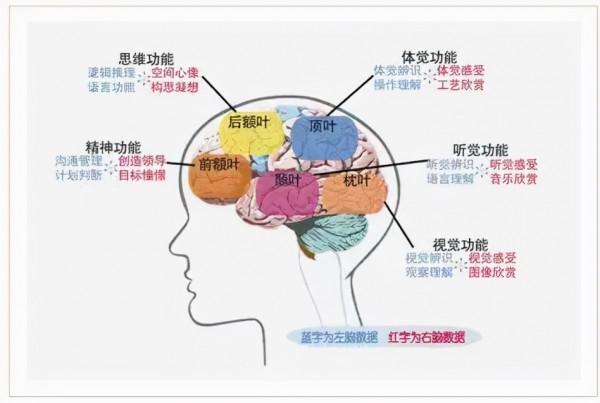 神經外科張永力:少兒頭痛、視力下降、長不高等,要警惕顱咽管瘤 神經外科張永力:少兒頭痛、視力下降、長不高等,要警惕顱咽管瘤