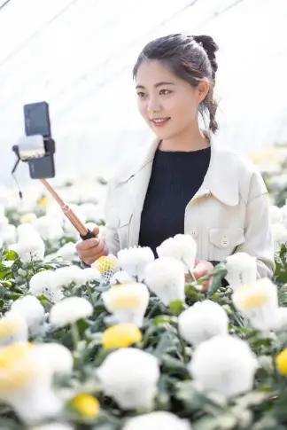 26歲江蘇美女，回村創業，年入百萬，婚禮直播被打賞10萬元