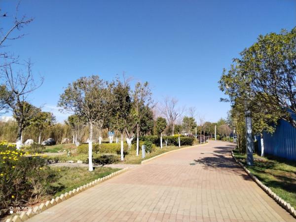 榮耀X30的優點與缺點上手體驗