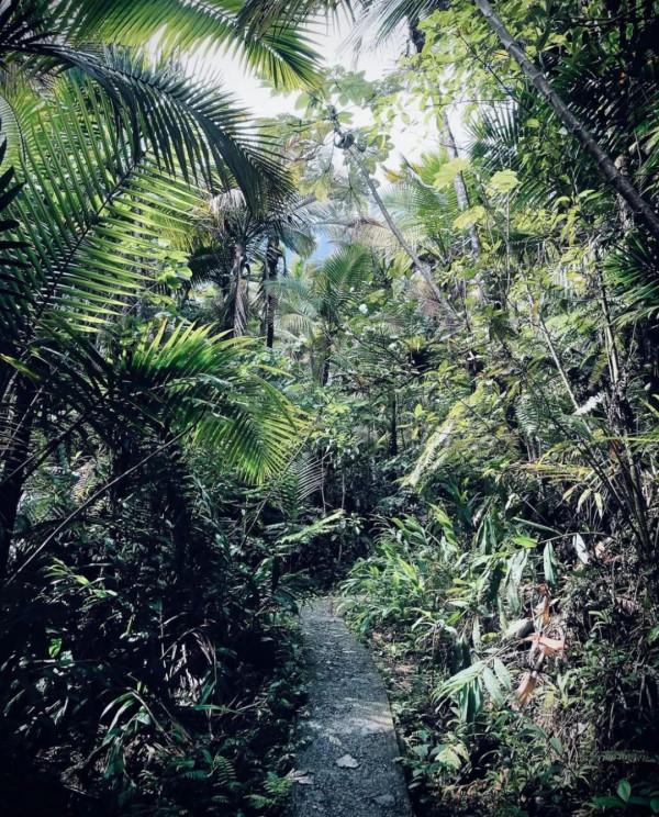 世界最美的15處自然景觀！中國無處入選