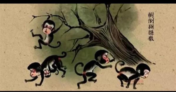 值得細品，寧德時代大跌和新能源板塊還可能下跌的邏輯