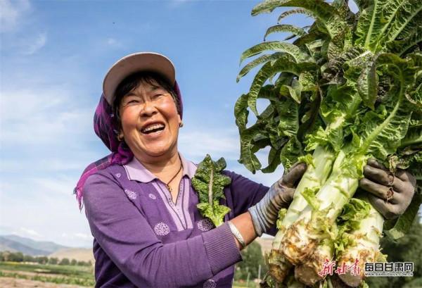 看！2500萬人的豐收圖景