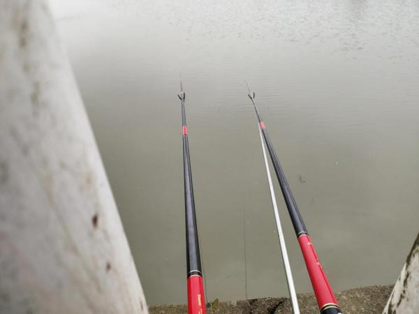 野釣日記（14）