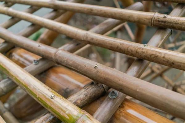 被這波互動設計,治好了帶孩子的焦慮 被這波互動設計,治好了帶孩子的焦慮