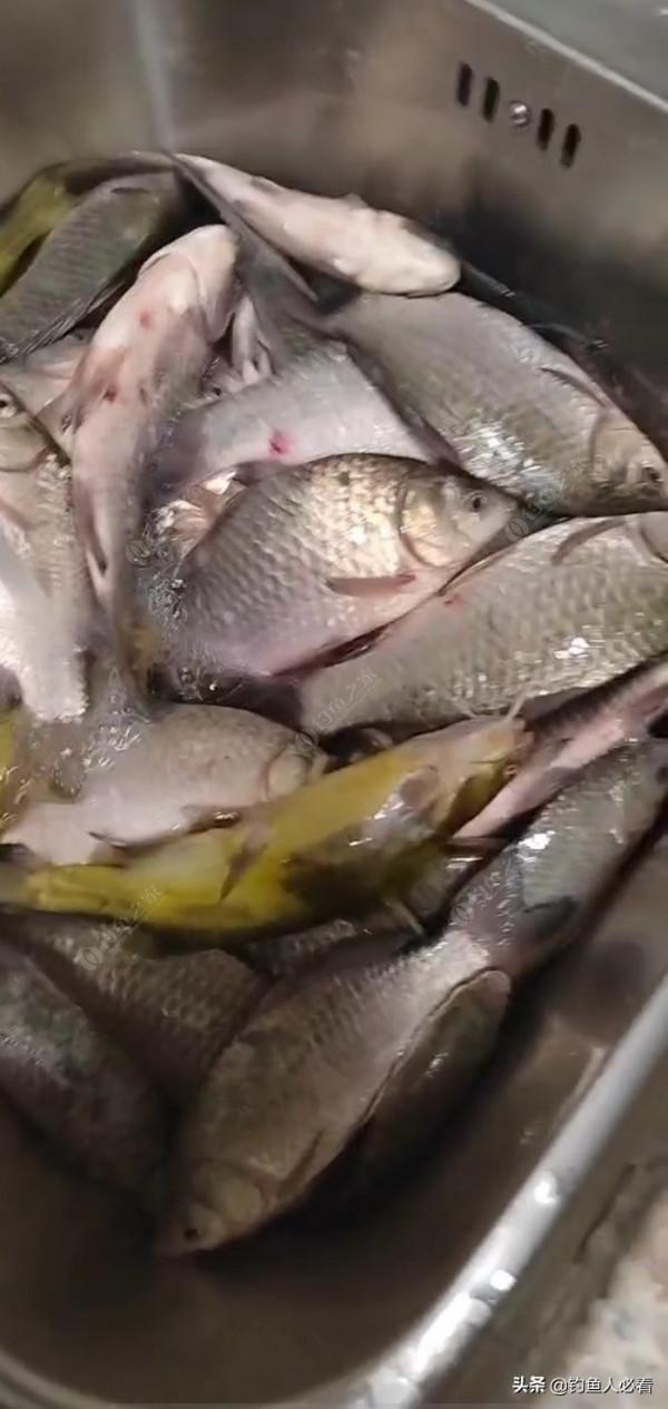 答應釣友出教程的自制酒米窩料,希望能夠幫助大家 答應釣友出教程的自制酒米窩料,希望能夠幫助大家