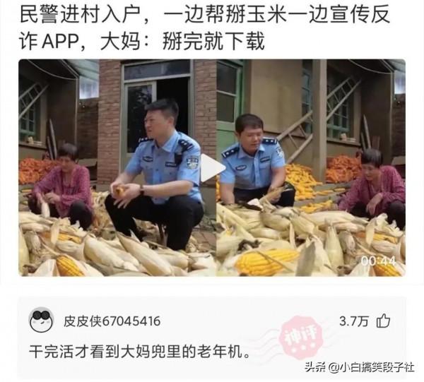 小白爆笑神評:戰狼3如果是這陣容能有多少票房? 小白爆笑神評:戰狼3如果是這陣容能有多少票房?