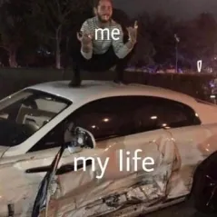 &OpenCurlyDoubleQuote;打車被拒載後，我家狗學會了騎車&rdquo;