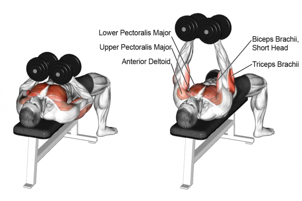 「耀&bull;健身」練遍全身，你只差一對啞鈴