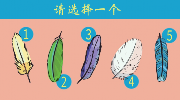 選擇一根你最喜歡的羽毛,看看你的心被導航去了哪裡? 選擇一根你最喜歡的羽毛,看看你的心被導航去了哪裡?