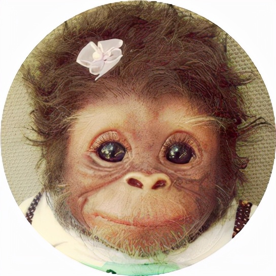 如何找到自己的使命和熱情？