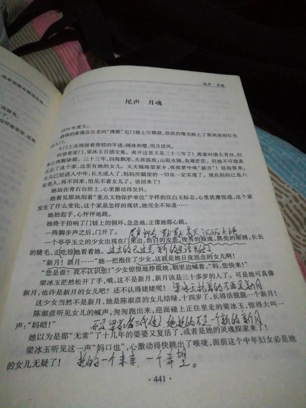 品讀經典作品———《穆斯林的葬禮》