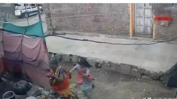 印度小鎮：一隻小猴被狗咬死，鎮上250多條狗，遭到猴群報復殺害