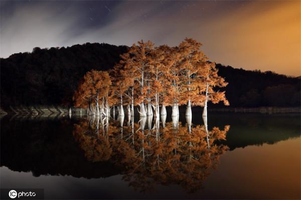 俄羅斯蘇科湖秋意正濃 俄羅斯蘇科湖秋意正濃