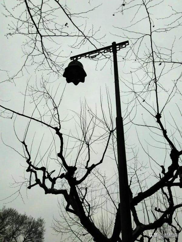 超級nice的朋友圈養眼文案