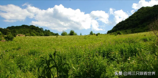 「知青往事」一位知青前輩講述的故事 「知青往事」一位知青前輩講述的故事