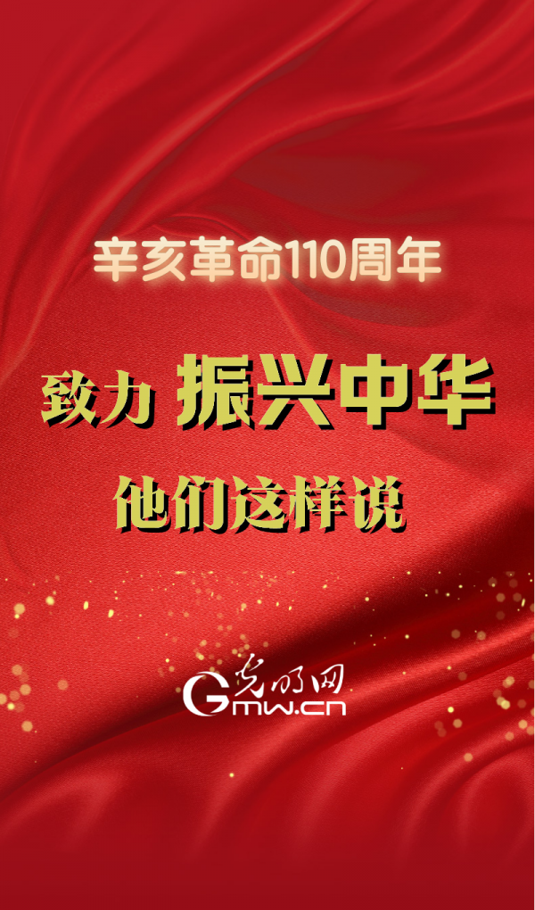 致力振興中華 他們這樣說