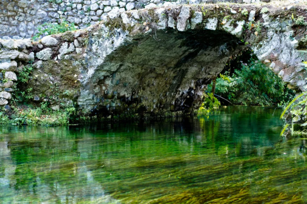 紐約時報評選最美花園榮歸義大利 被譽為伊甸園的寧法花園 紐約時報評選最美花園榮歸義大利 被譽為伊甸園的寧法花園