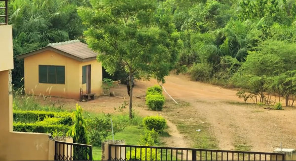 這就是非洲那些被母親賣掉的孩子，小的才3歲，他們一定很想媽媽