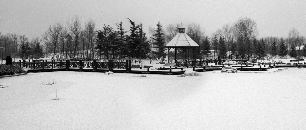 朝陽遊園推薦：北小河公園