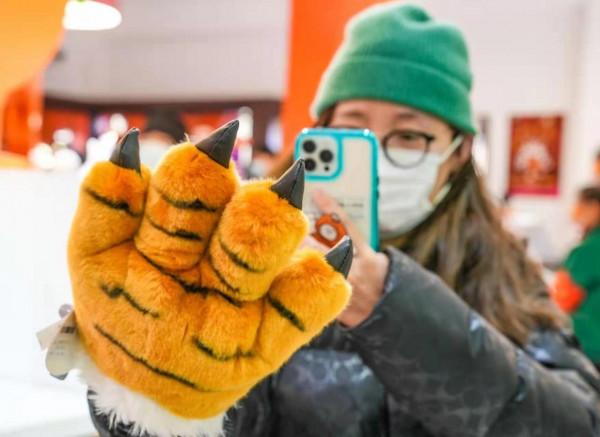 虎年看虎，動物園裡&OpenCurlyDoubleQuote;沾虎氣&rdquo;