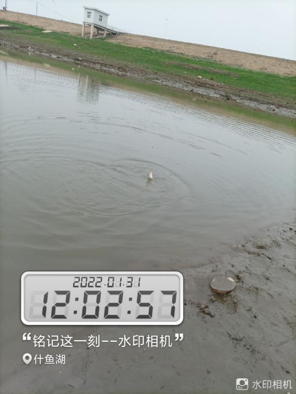 新年新氣象，虎年首釣完美爆護