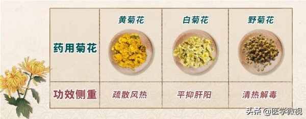 菊花泡茶除了去火還能降壓？但這幾種人不要喝