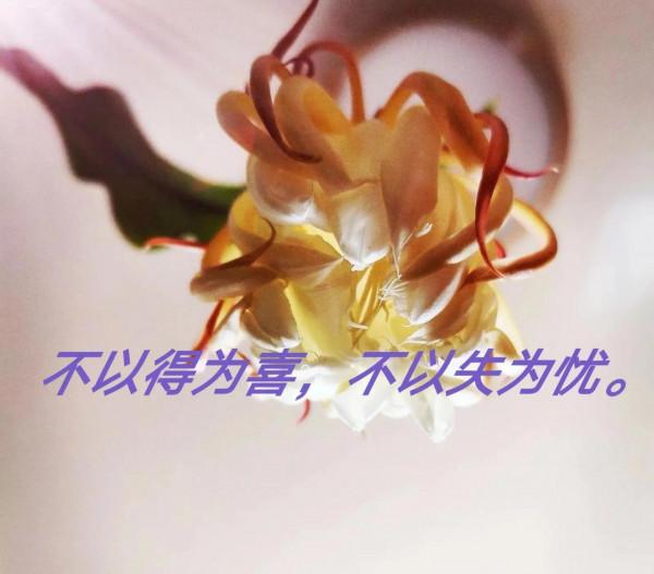 成年人的世界，誰都不容易，該走的路，一步都不能少