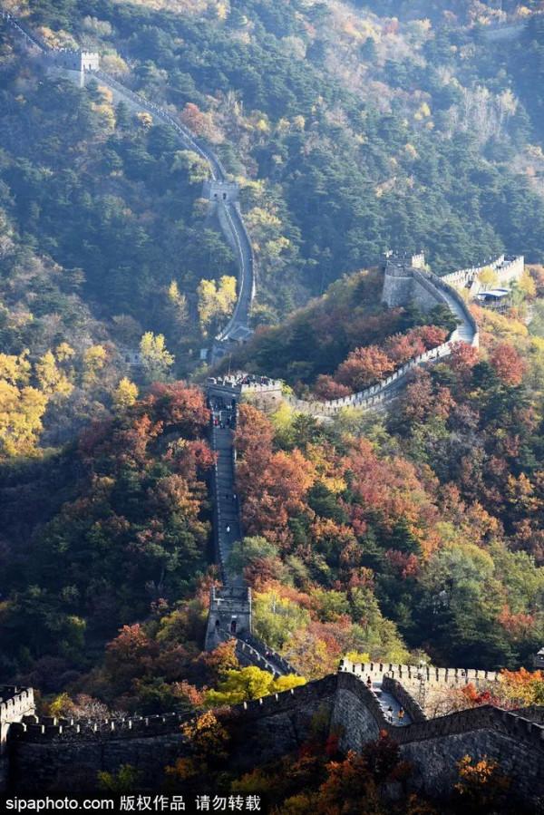 足足20家！北京最美秋色都在這裡了！不用人擠人！