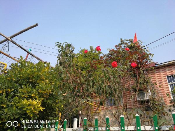 海上山晚秋——贈港校陳君、微友遠洋君