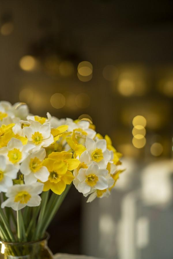 1999元國產全畫幅鏡頭 永諾50mm F1.8評測 1999元國產全畫幅鏡頭 永諾50mm F1.8評測